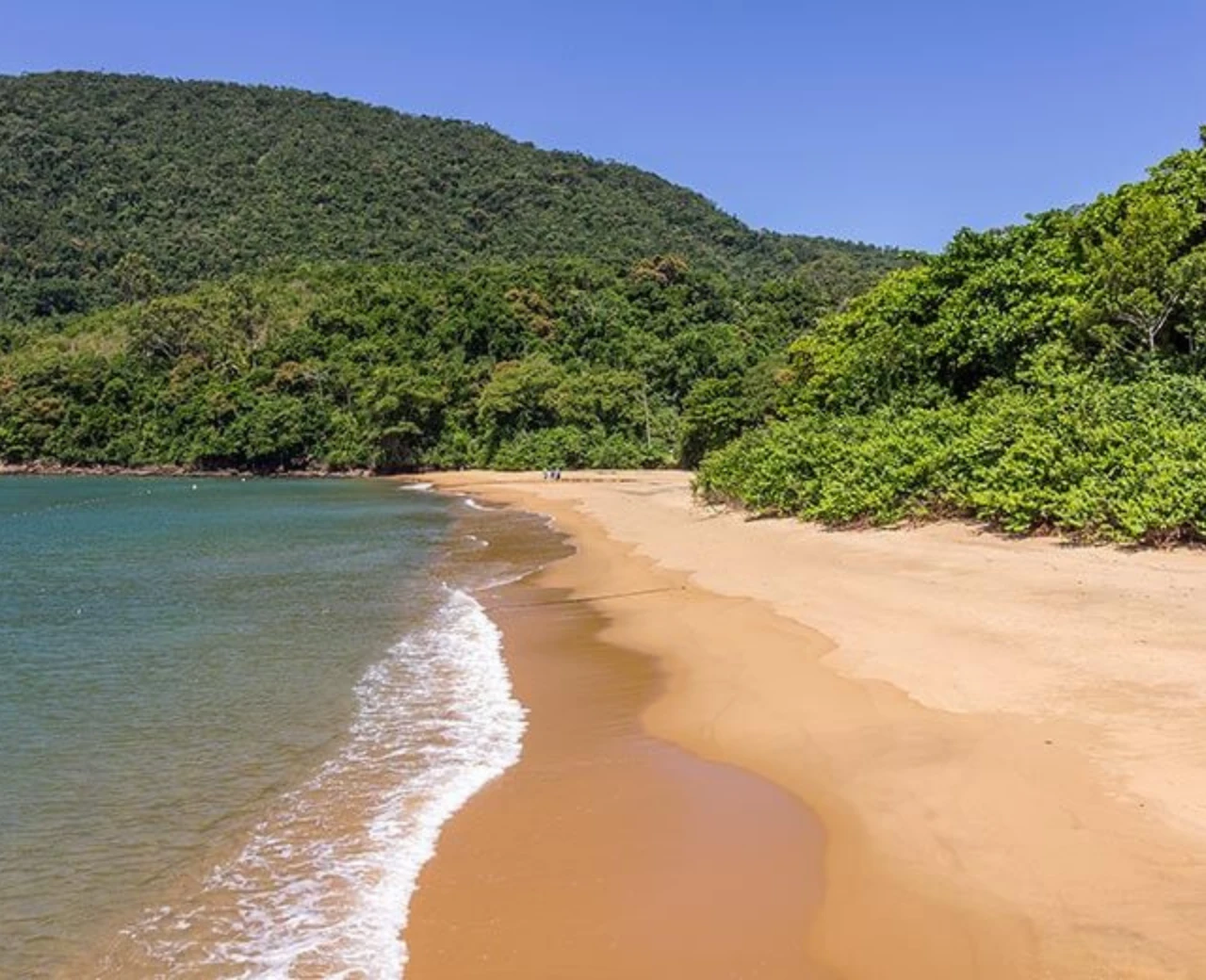 Roteiro Parque Estadual da Ilha Anchieta - Foto 7