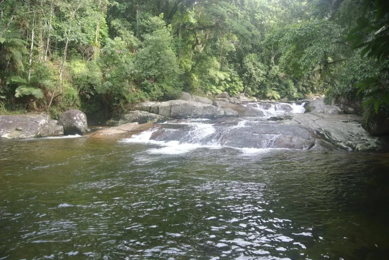 Cachoeira da Renata Ubatuba - Foto 1