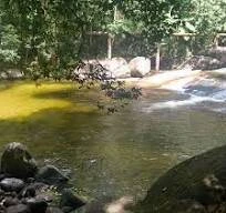 Cachoeira da Renata Ubatuba - Foto 5