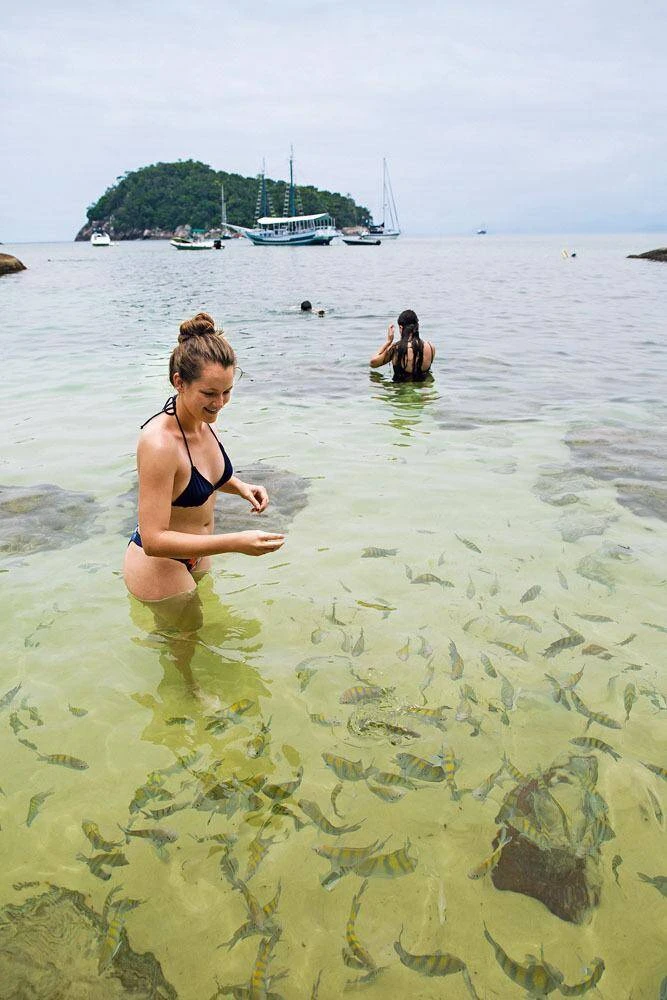 Roteiro Ilha das Couves Ubatuba - Foto 2