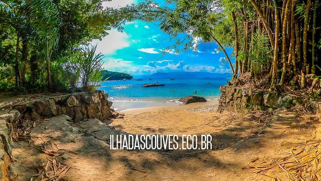 Roteiro Ilha das Couves Ubatuba - Foto 7