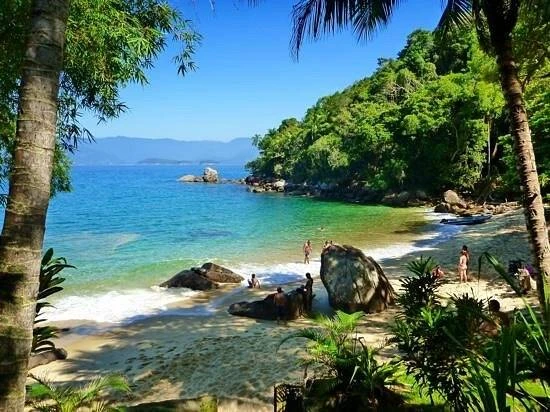 Roteiro Ilha das Couves Ubatuba - Foto 13