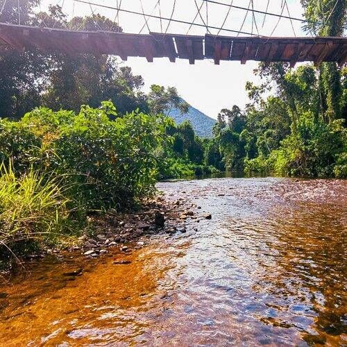 Trilha do Rio Quilombo do Sertão do Itamambuca - Foto 1