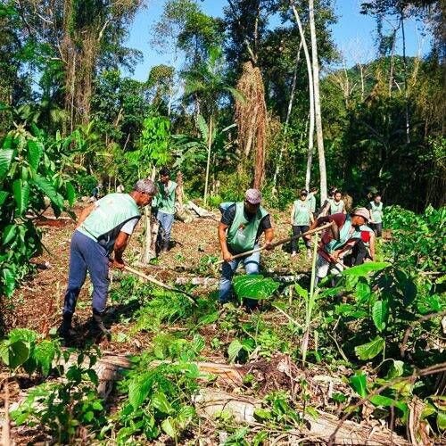 Vivências no Quilombo do Sertão do Itamambuca - Foto 1