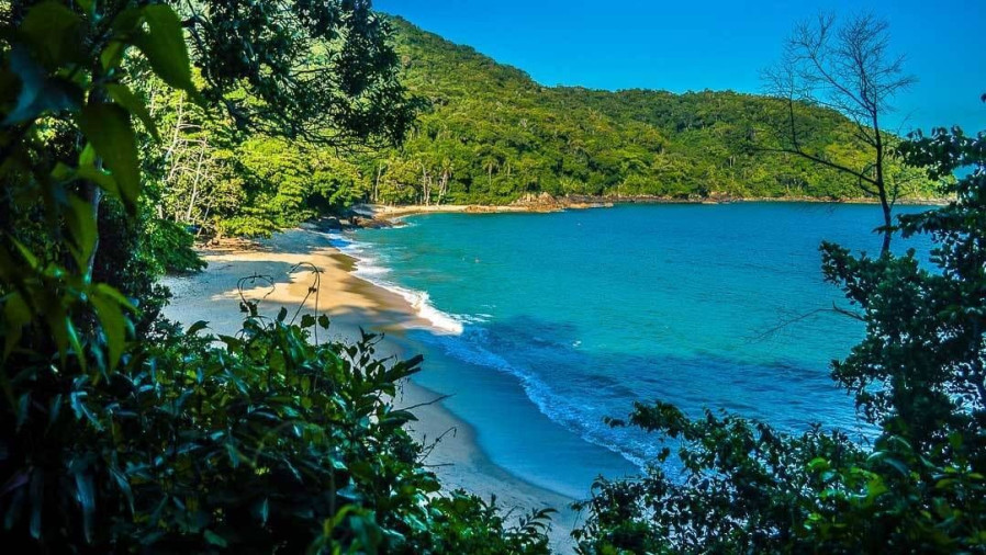 Roteiro das Cachoeiras do Sul de Ubatuba - Foto 1