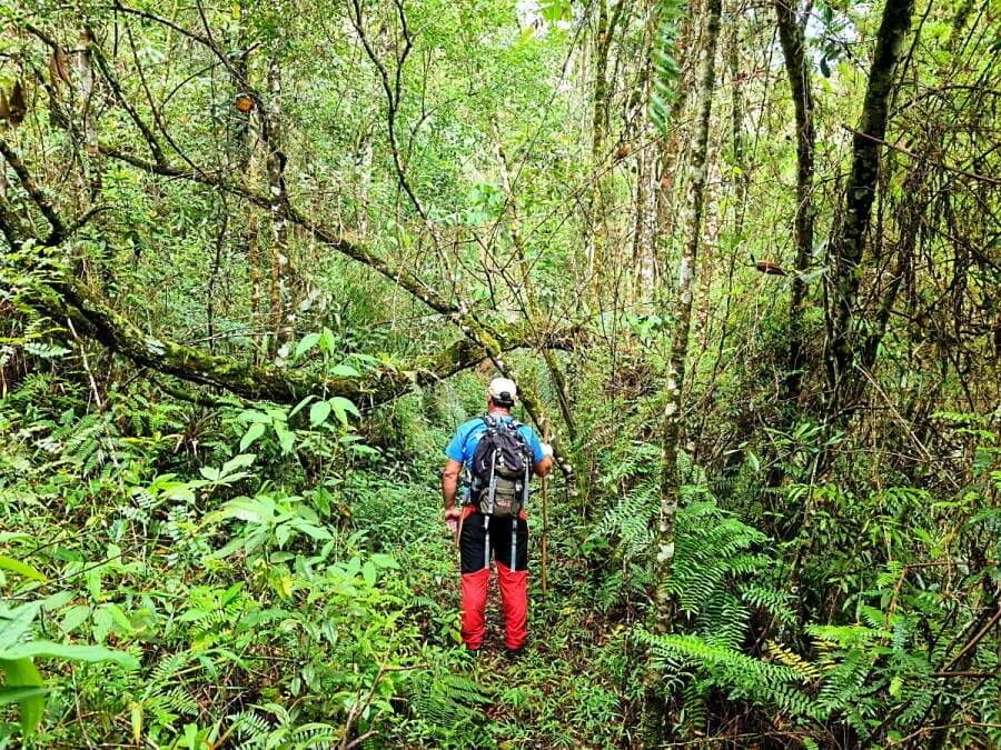 Trekking no Vale Selvagem da Bocaina - Foto 1
