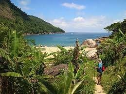 Trilha da Ponta da Joatinga em Paraty - Foto 4