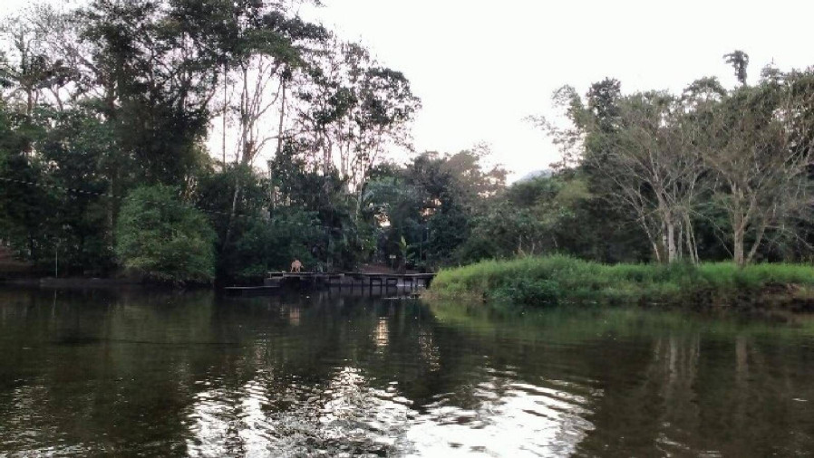 Trilha do Rio Itamambuca - Foto 1