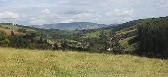 Trilha Vista Linda - Foto 2