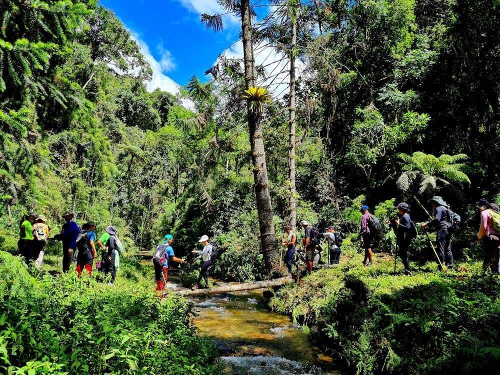 VALE DOS VEADOS ? TREKKING NA SERRA DA BOCAINA - Foto 1