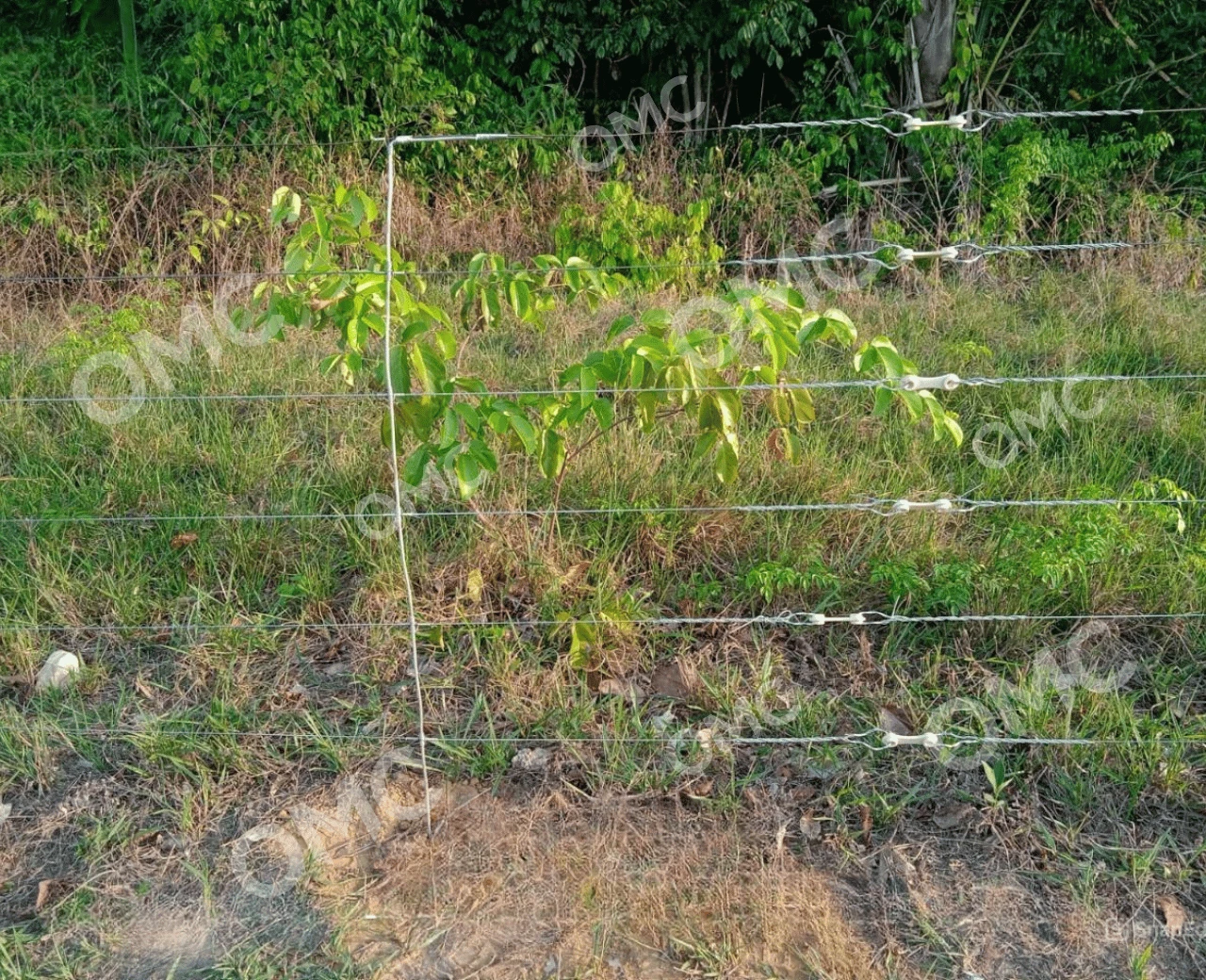 Cercas, Porteiras e Colchetes - Foto 3