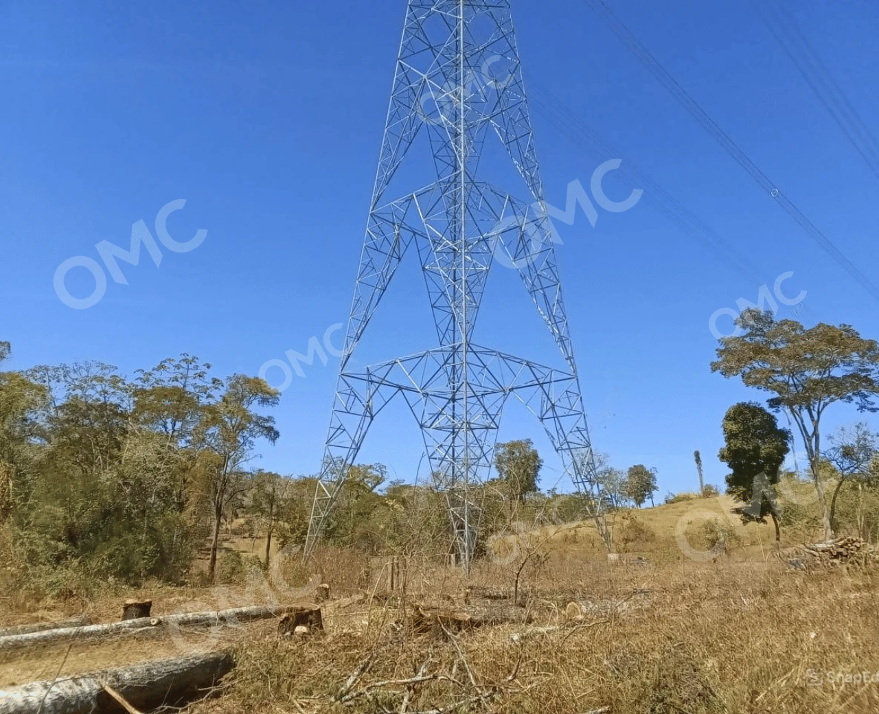 Supressão Vegetal e Corte Seletivo - Foto 4