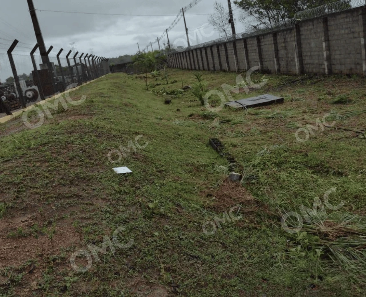 Supressão Vegetal e Corte Seletivo - Foto 7