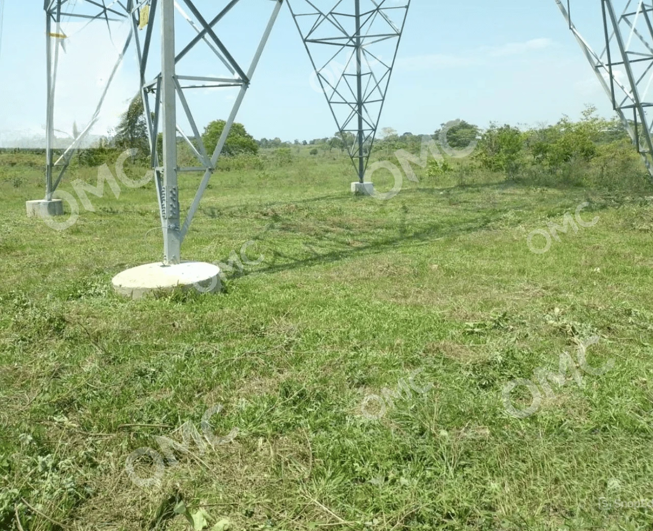 Supressão Vegetal e Corte Seletivo - Foto 10