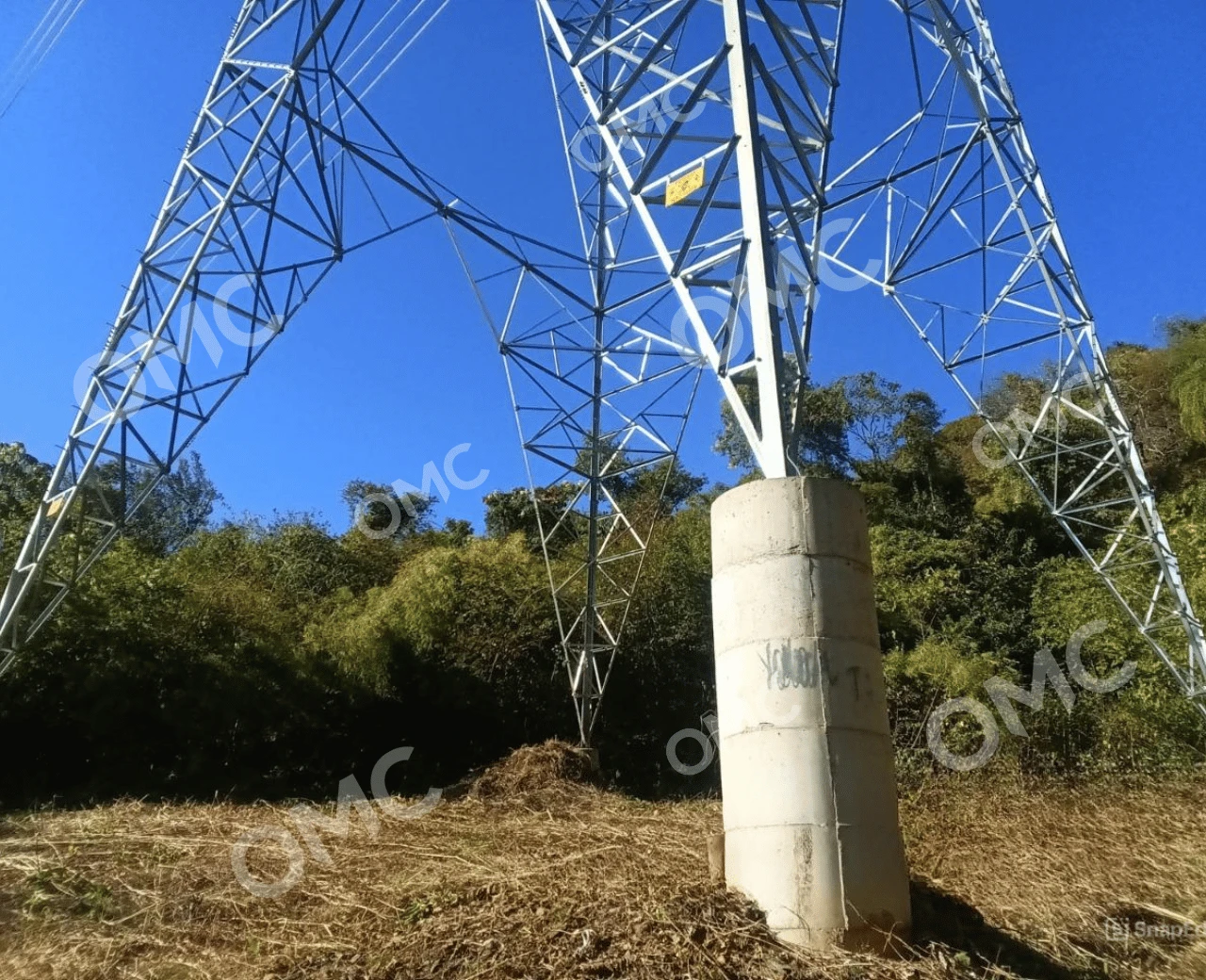 Supressão Vegetal e Corte Seletivo - Foto 13