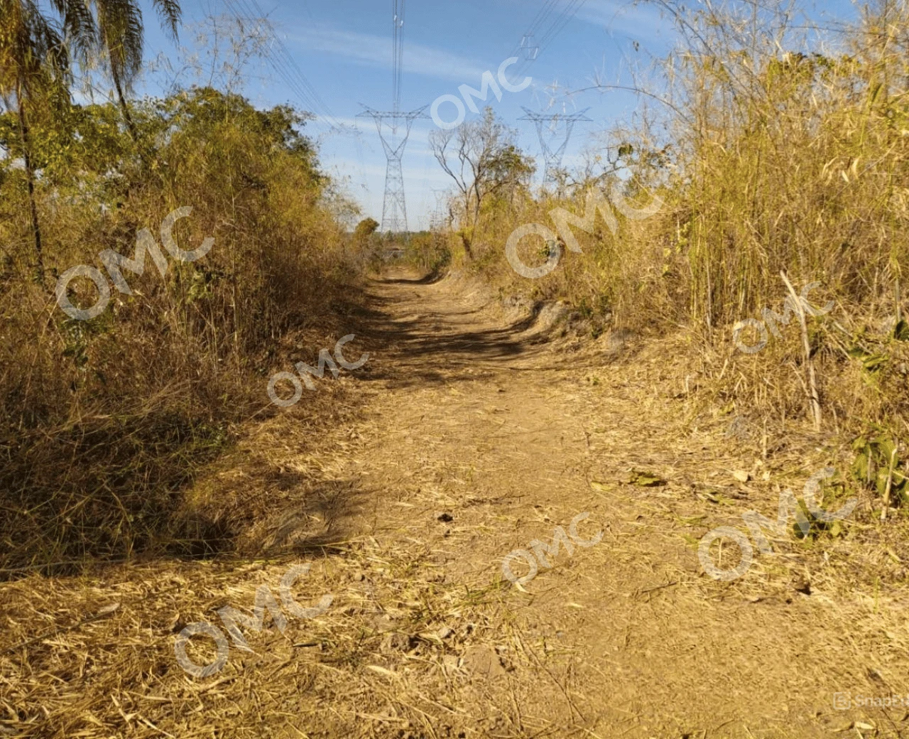 Supressão Vegetal e Corte Seletivo - Foto 14