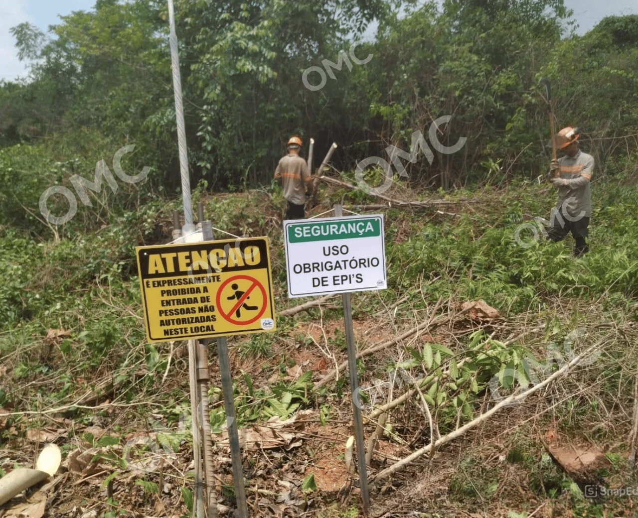 Supressão Vegetal e Corte Seletivo - Foto 1