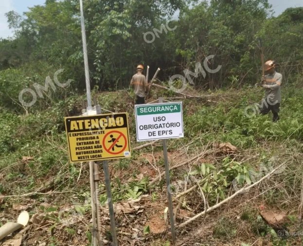 Supressão Vegetal e Corte Seletivo - Foto 1