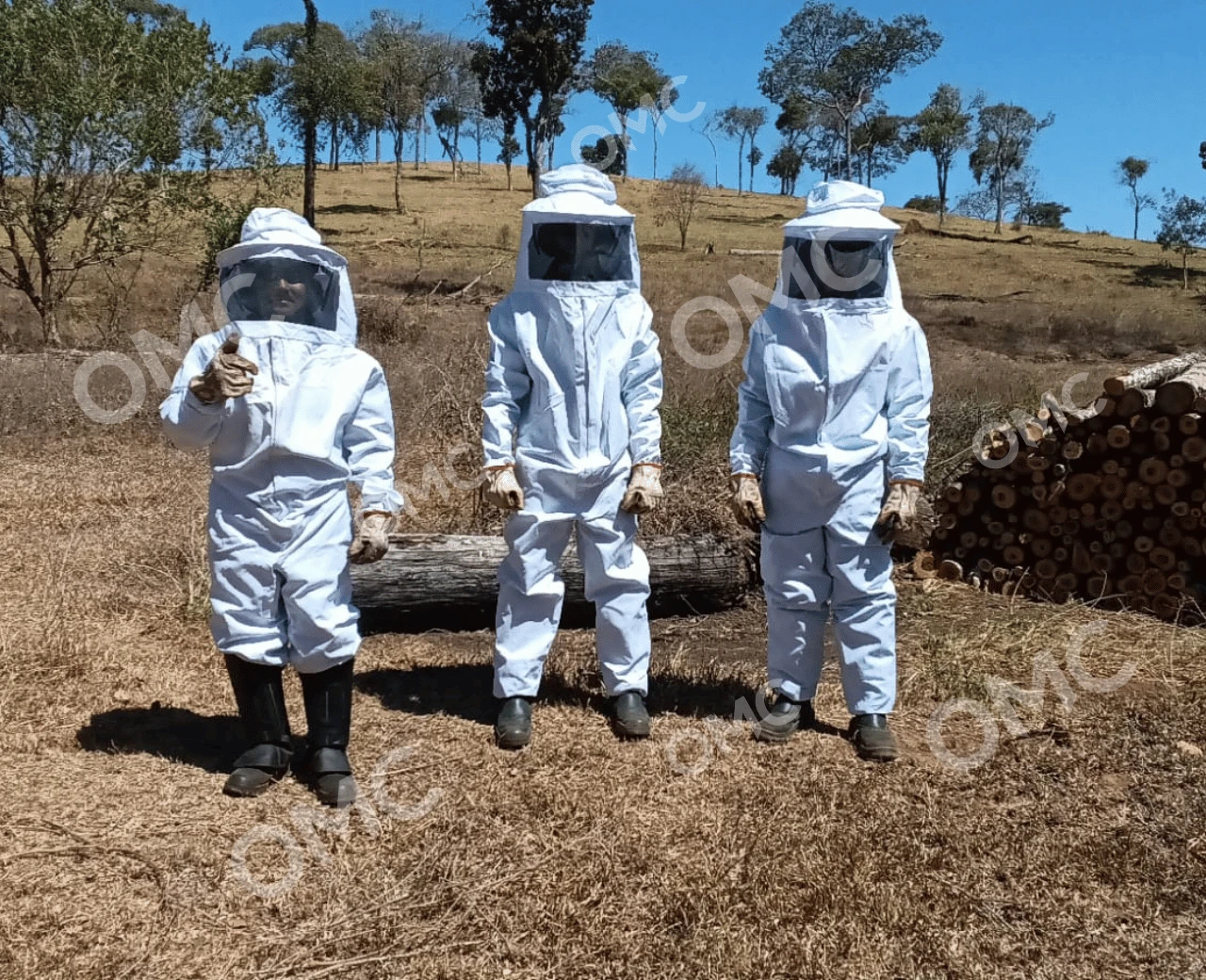 Supressão Vegetal e Corte Seletivo - Foto 15