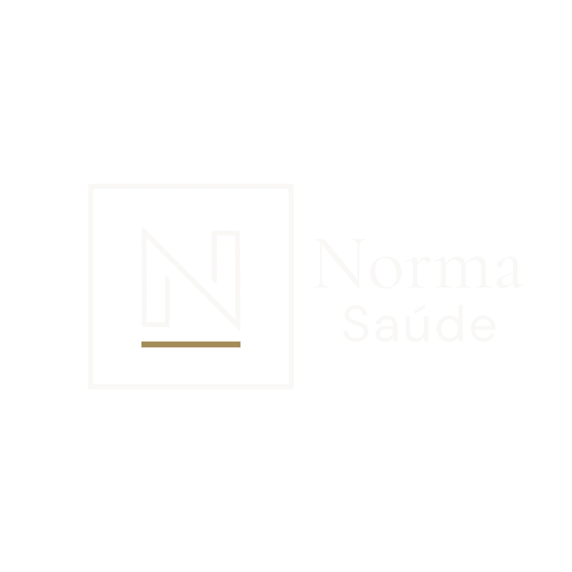 Norma Saúde