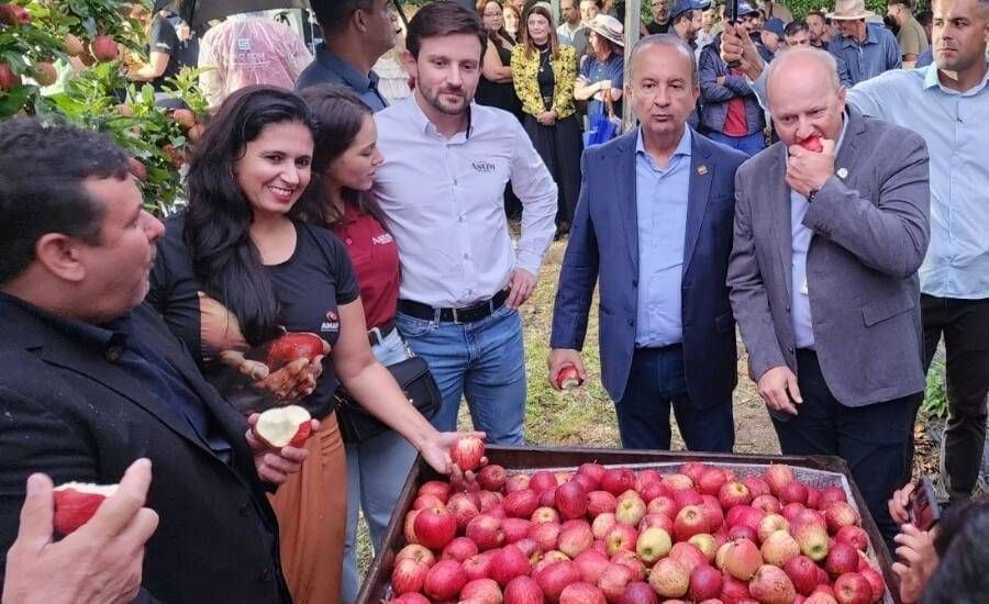 Abertura oficial da colheita da maçã 2026 reúne autoridades e produtores em São Joaquim