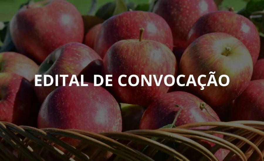 EDITAL DE CONVOCAÇÃO PARA ELEIÇÃO DO CONSELHO DE ADMINISTRAÇÃO E DO CONSELHO FISCAL DA AMAP