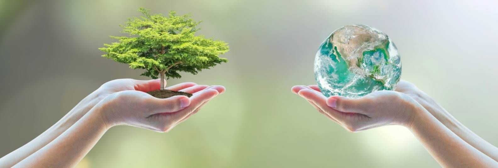 Imagem do Slide Home