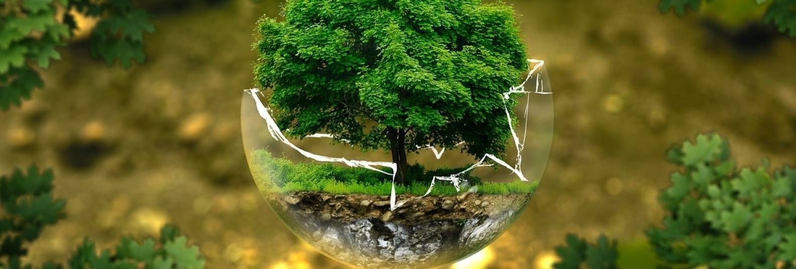 Imagem do Slide Home