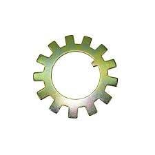 Trava Aranha - Foto 1