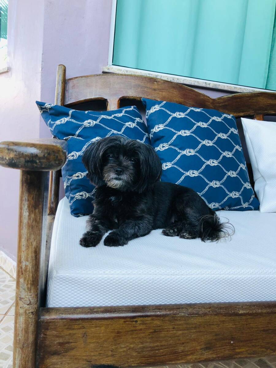 CASA MORADA DA PAZ - Foto 40