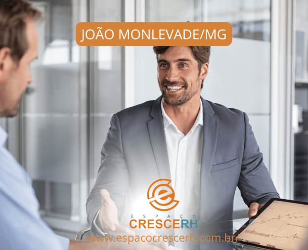 CONSULTOR (A) DE VENDAS - Foto 1