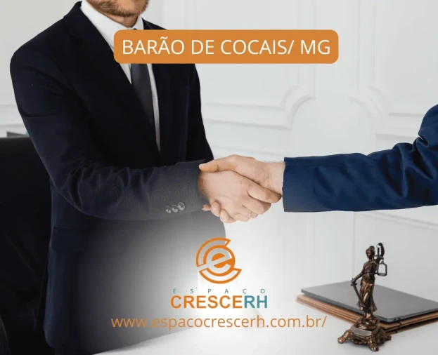 EXECUTIVO COMERCIAL - Foto 1