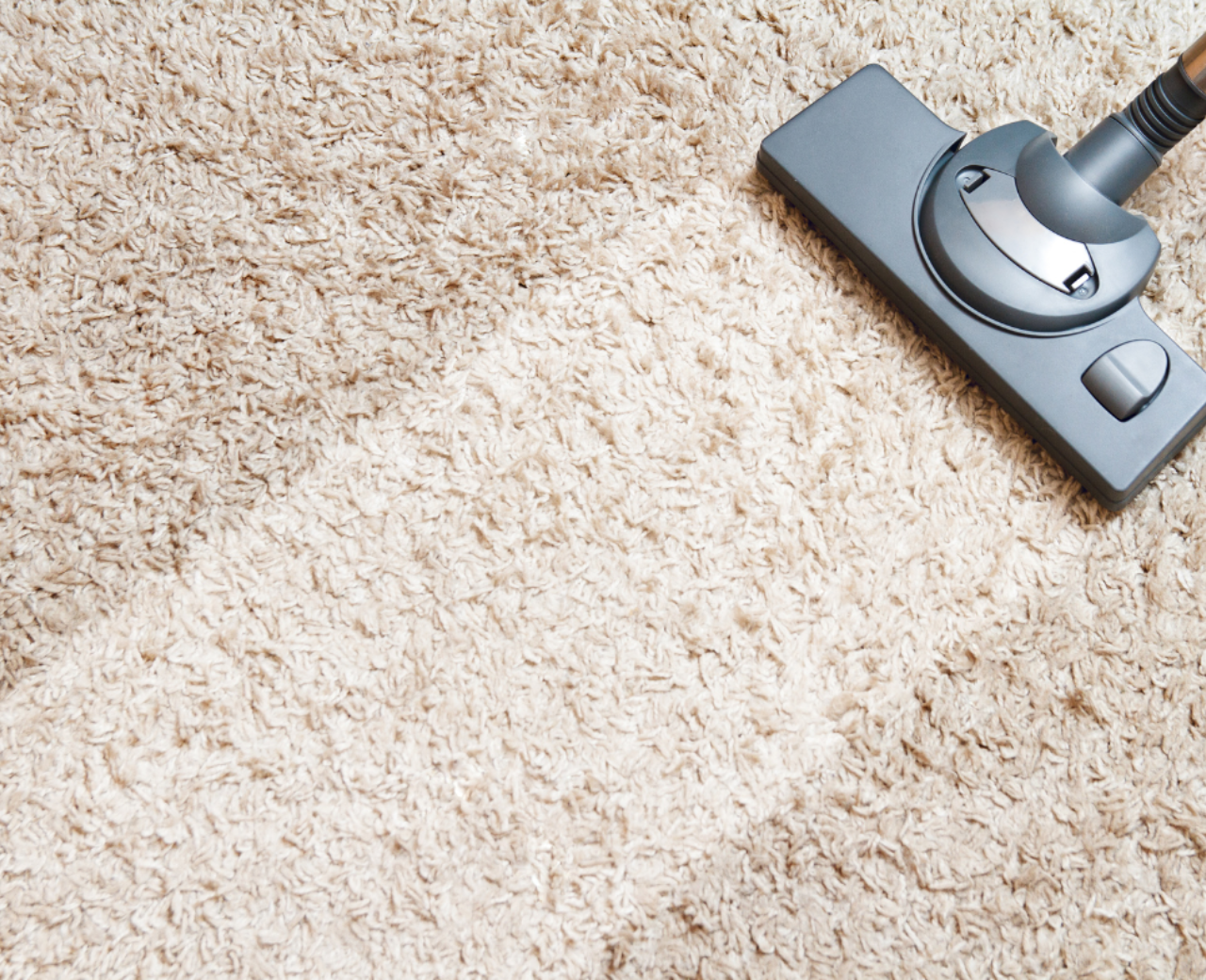 LIMPEZA DE TAPETES - Foto 1