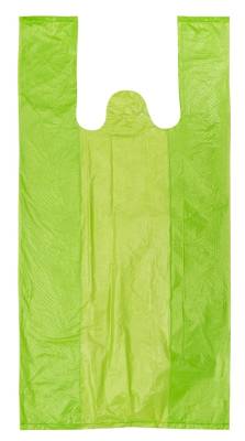 SACOLA PLUS VERDE LIMÃO - Foto 1