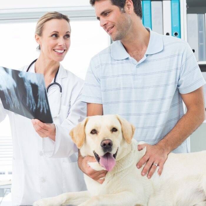 Clínicas veterinárias - Foto 1