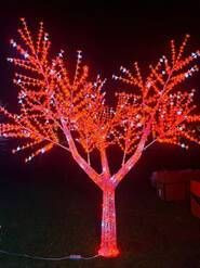 ARVORES CEREJEIRAS - Foto 1