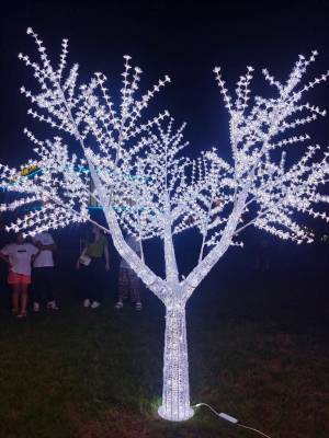 ARVORES CEREJEIRAS - Foto 1