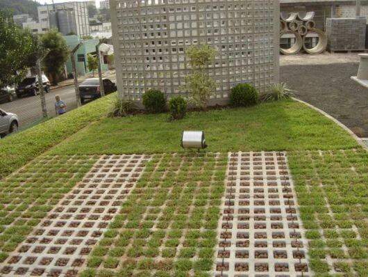 Imagem do Slide