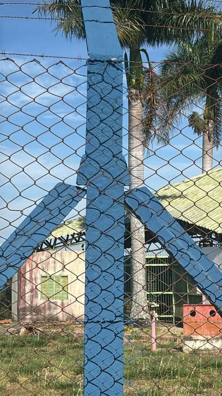 Imagem do Slide