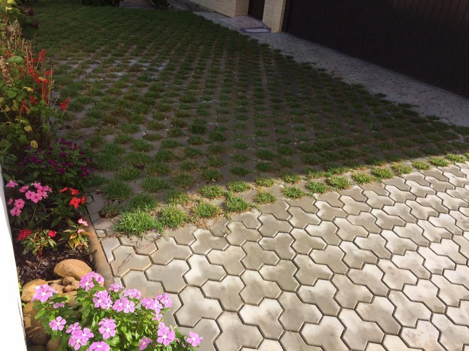 Imagem do Slide