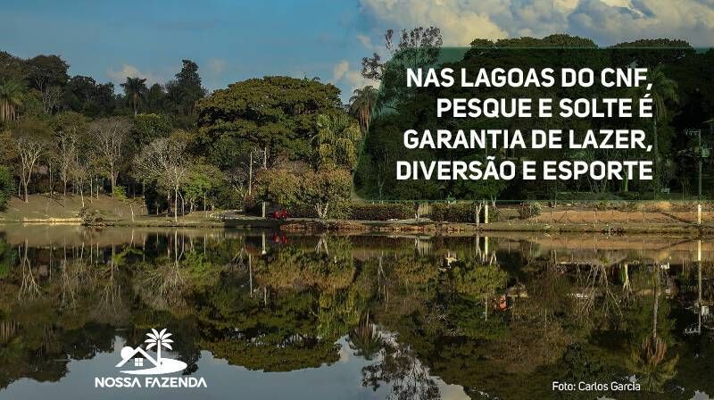 Nas lagoas do CNF, Pesque e Solte é garantia de lazer, diversão e esporte