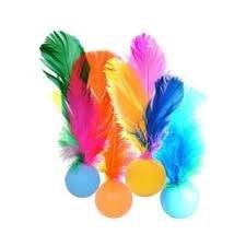 BRINQUEDO COM PENA PARA GATOS - Foto 1