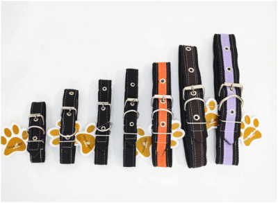 COLEIRA DUPLA REFORÇADA - Foto 1