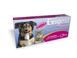 EVIGEST INJETÁVEL - Foto 1