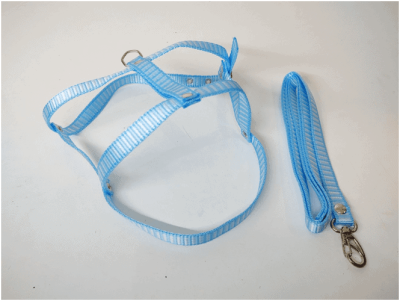 GUIA DE NYLON COM PEITORAL - Foto 1