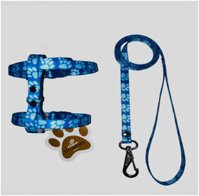 GUIA DE SEDA PARA GATOS - Foto 1