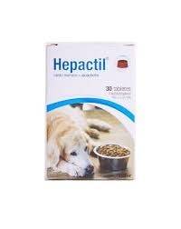 HEPACTIL - Foto 1