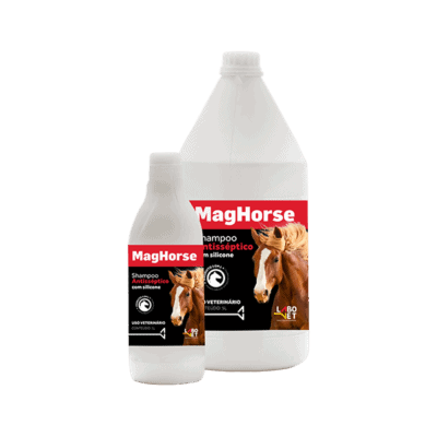 MAGHORSE SHAMPOO ANTISSÉPTICO - Foto 1