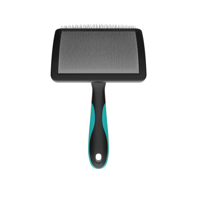 RASQUEADEIRA CURVA GRANDE PROPETZ - Foto 1