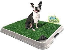 SANITÁRIO XIXI GREEN PREMIUM - Foto 1